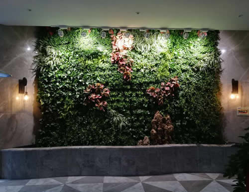 即墨靠谱植物种植公司