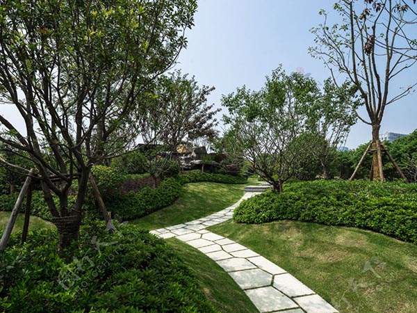 青岛别墅景观设计